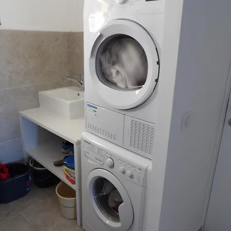 فيلة De Standing *