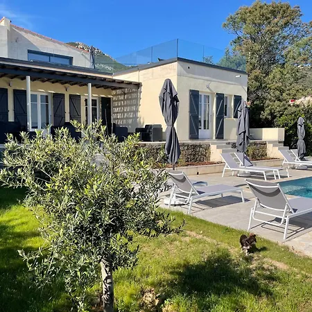 فيلة De Standing