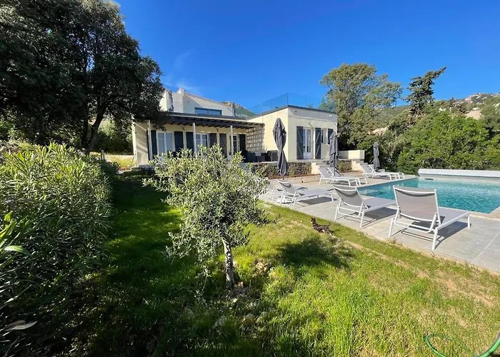 Villa De Standing Calvi (Corsica)